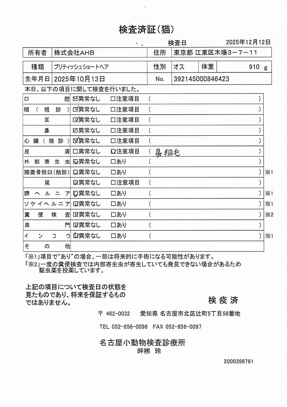 ブリティッシュショートヘア