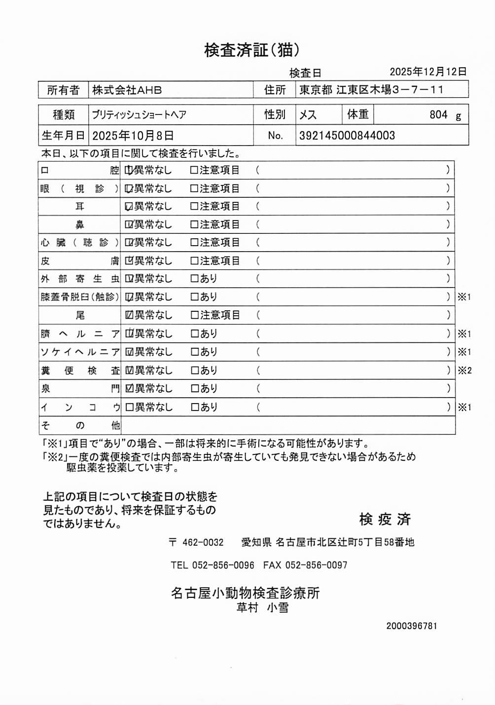 ブリティッシュショートヘア