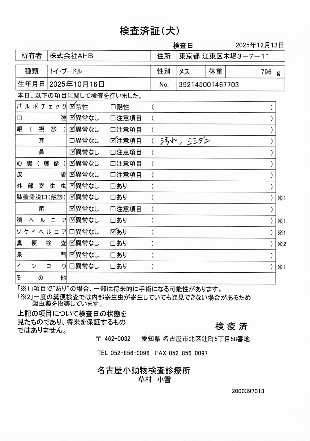 トイ・プードル