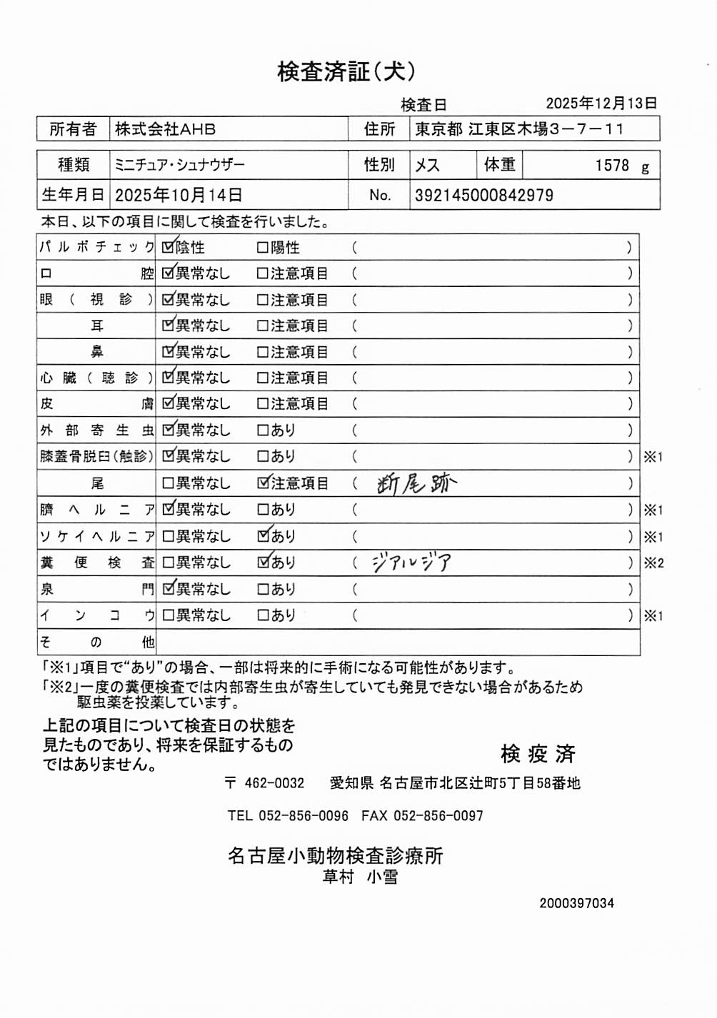 ミニチュア・シュナウザー