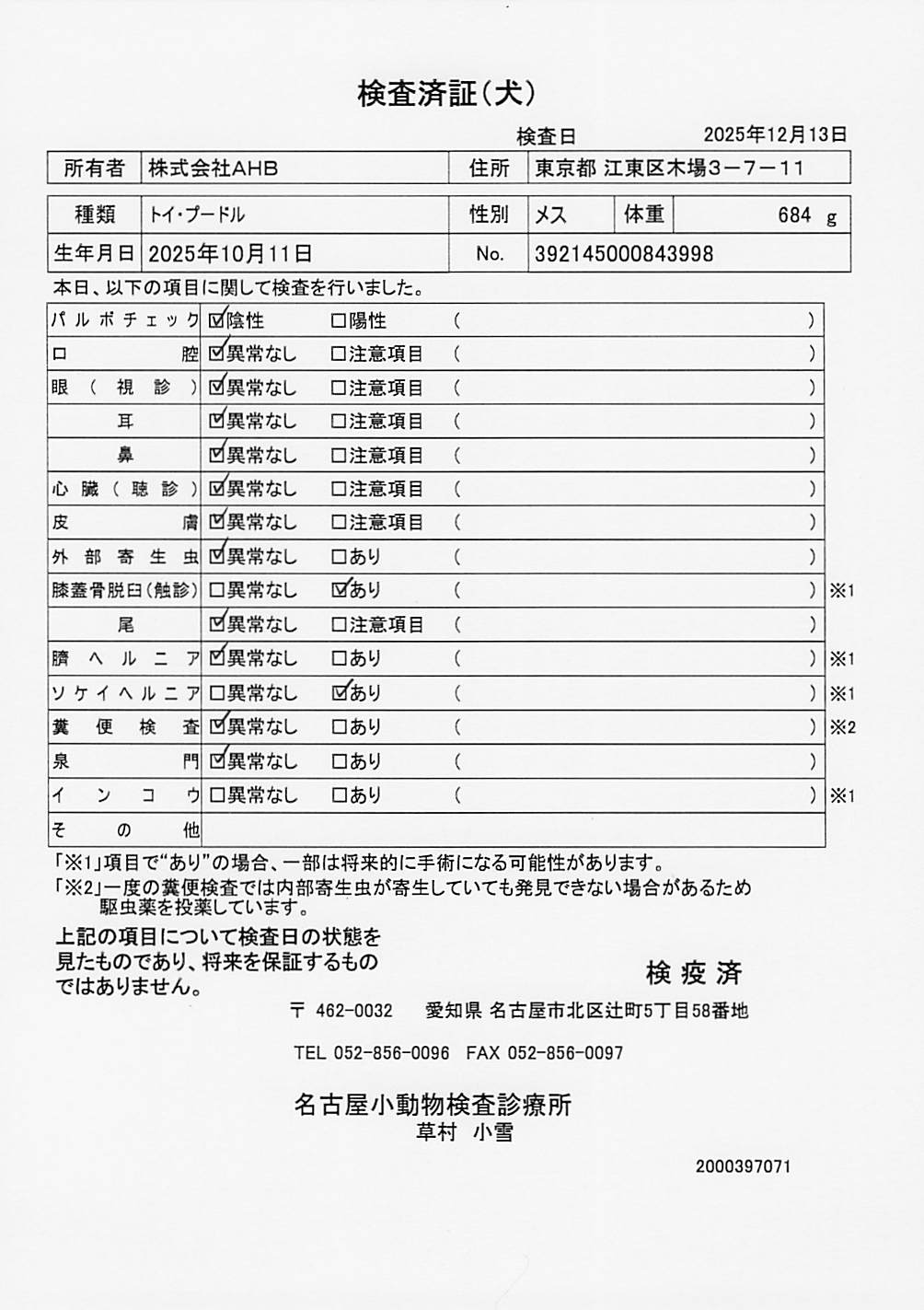 トイ・プードル