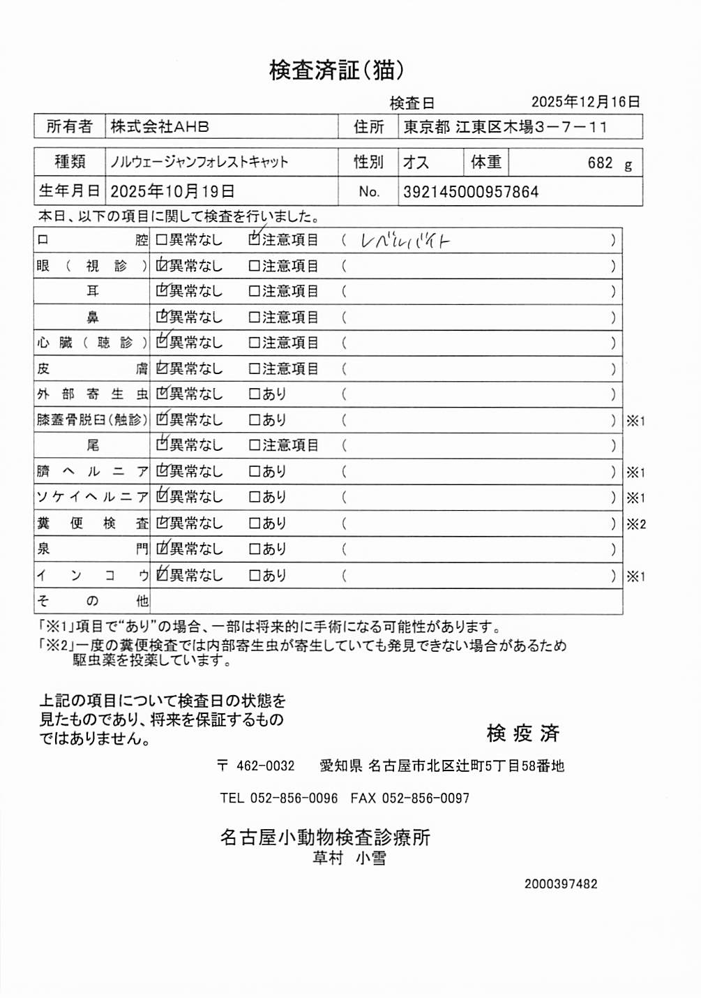 ノルウェージャンフォレストキャット
