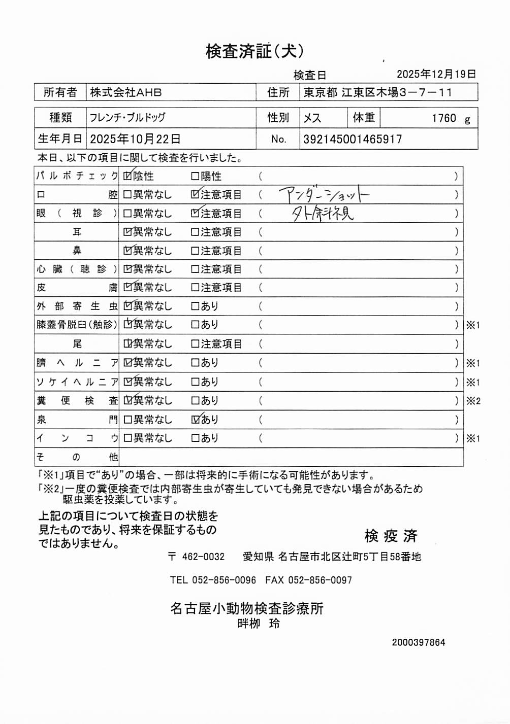 フレンチ・ブルドッグ