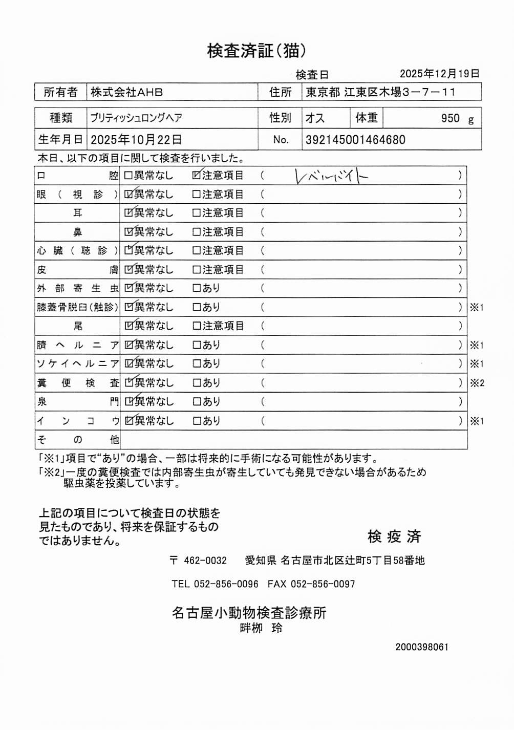 ブリティッシュロングヘア