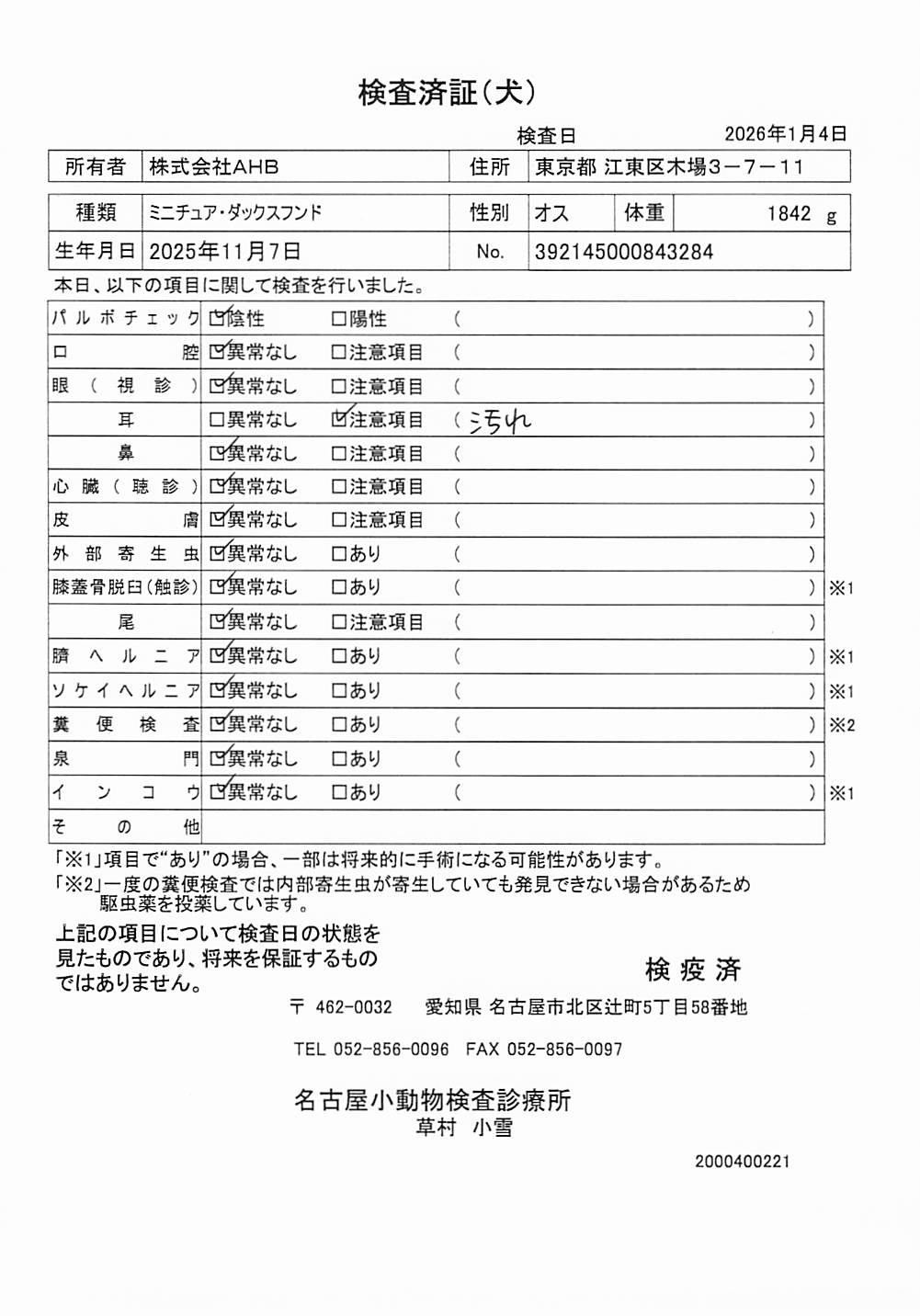 ミニチュア・ダックスフンド