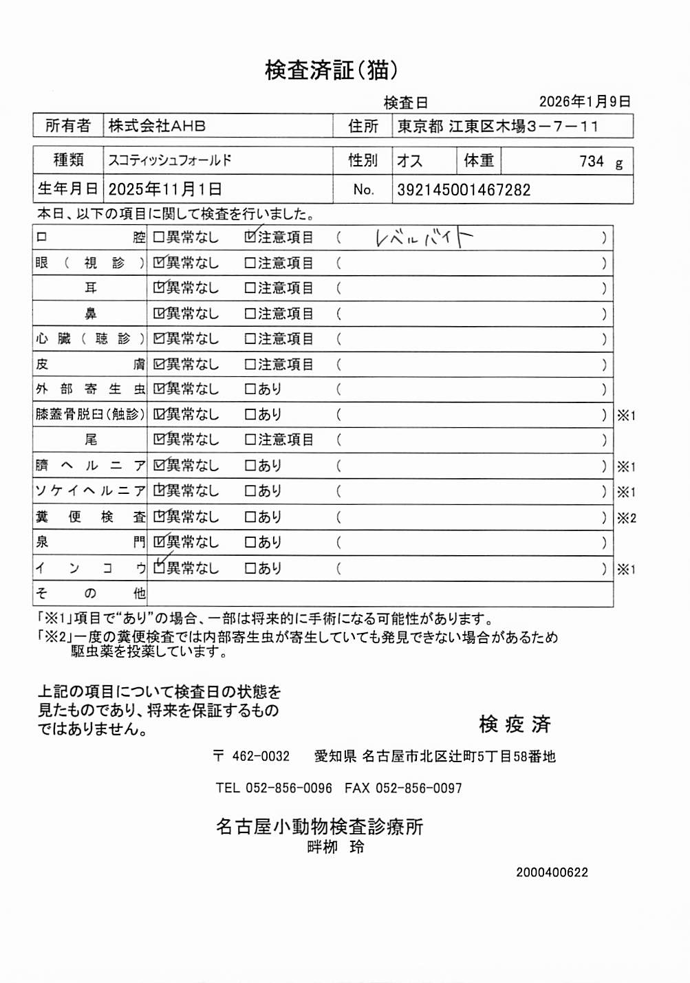 スコティッシュフォールド