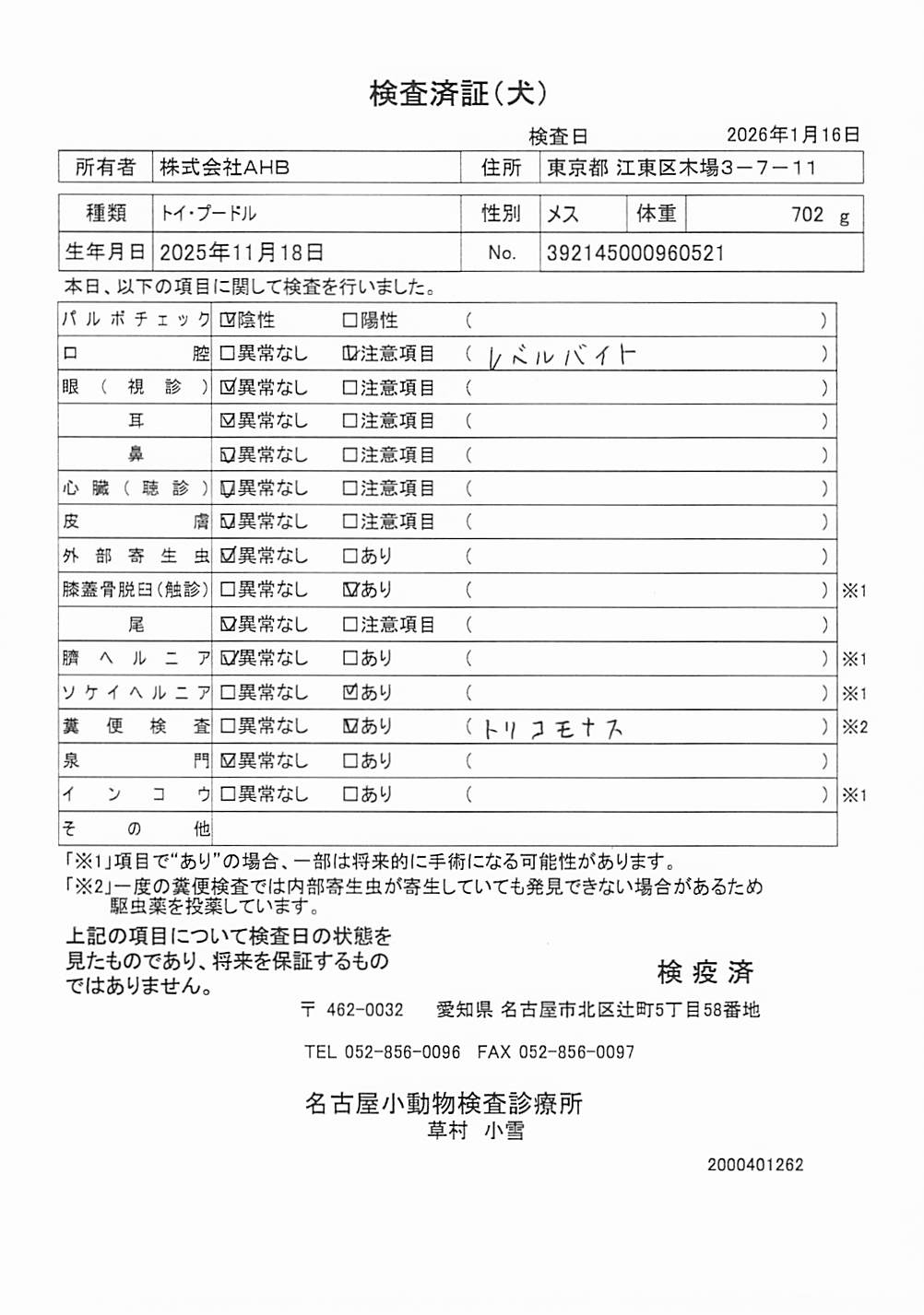 トイ・プードル