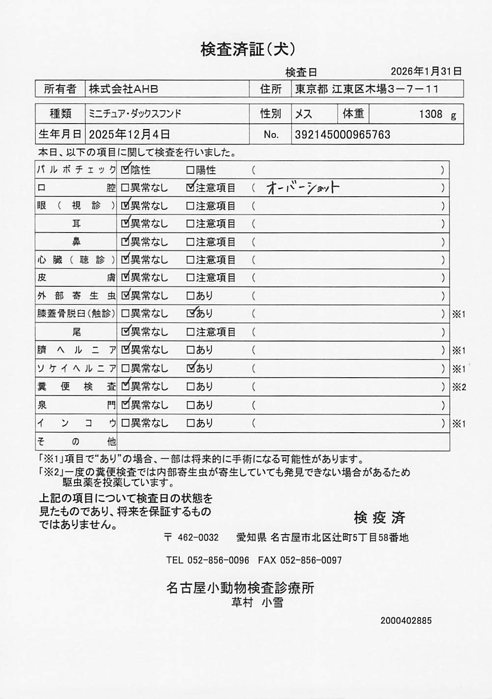 ミニチュア・ダックスフンド