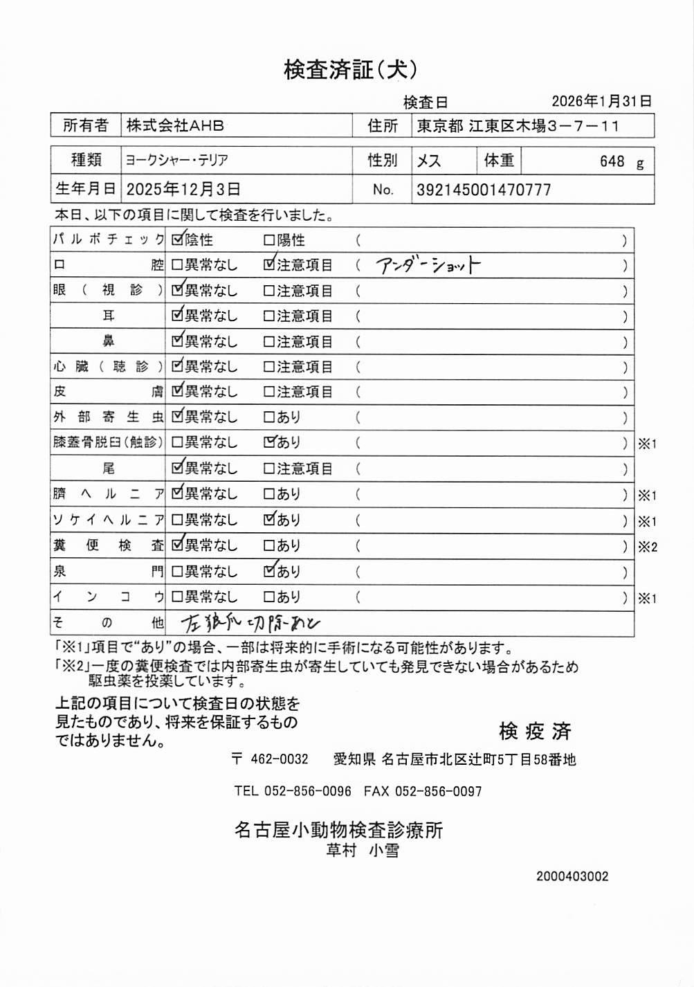 ヨークシャー・テリア