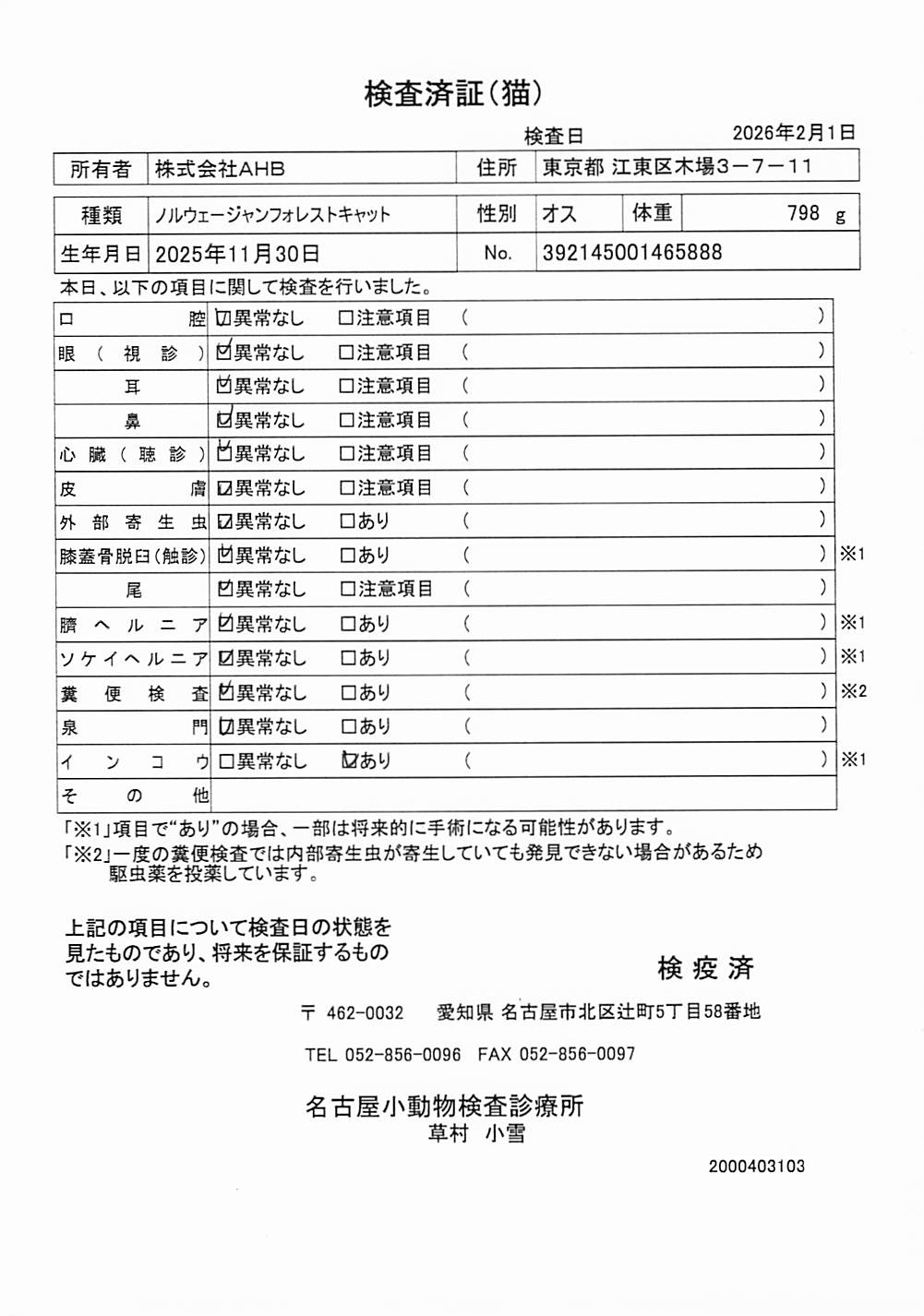 ノルウェージャンフォレストキャット