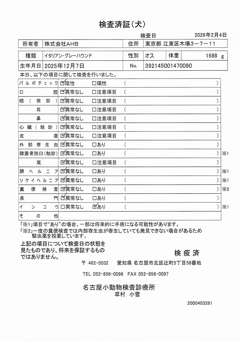 イタリアン・グレーハウンド