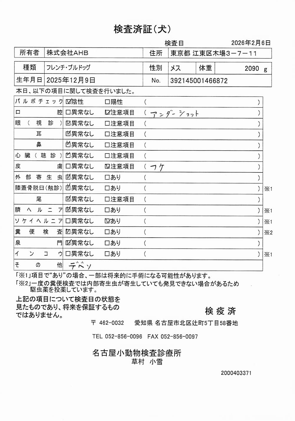 フレンチ・ブルドッグ