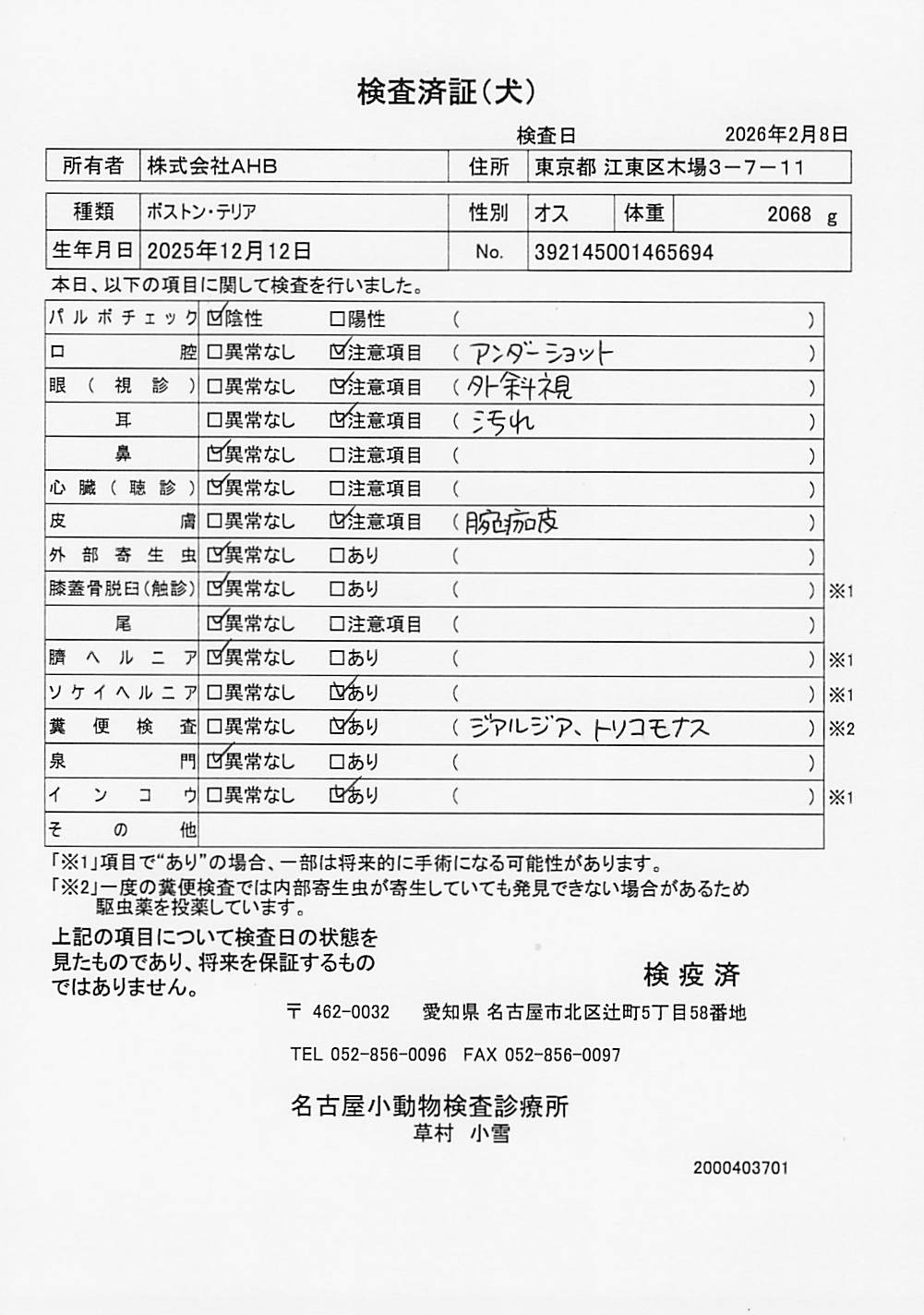 ボストン・テリア