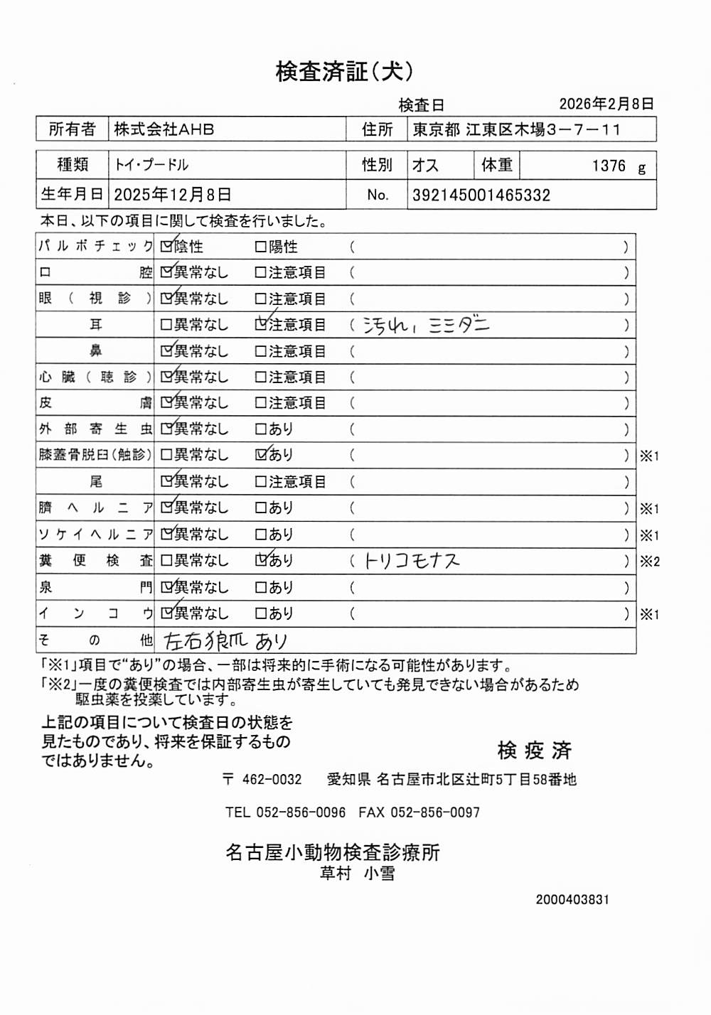 トイ・プードル