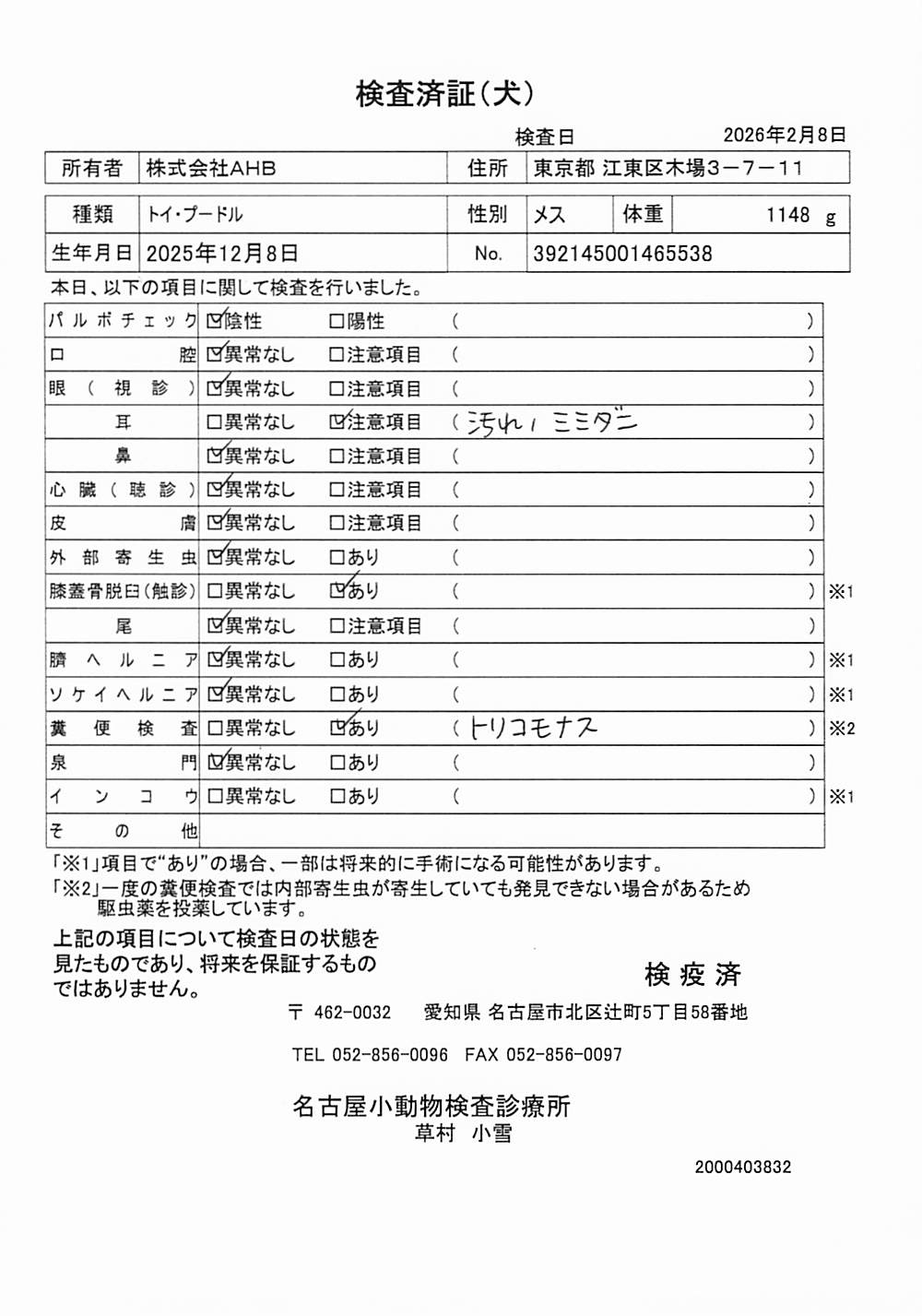トイ・プードル