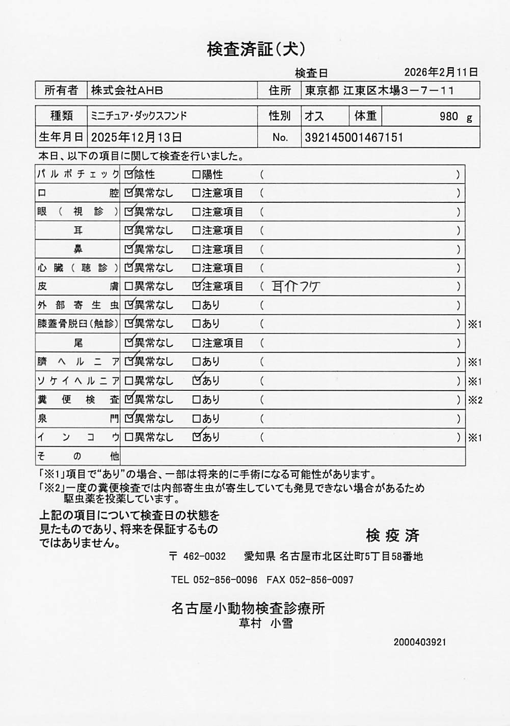 ミニチュア・ダックスフンド