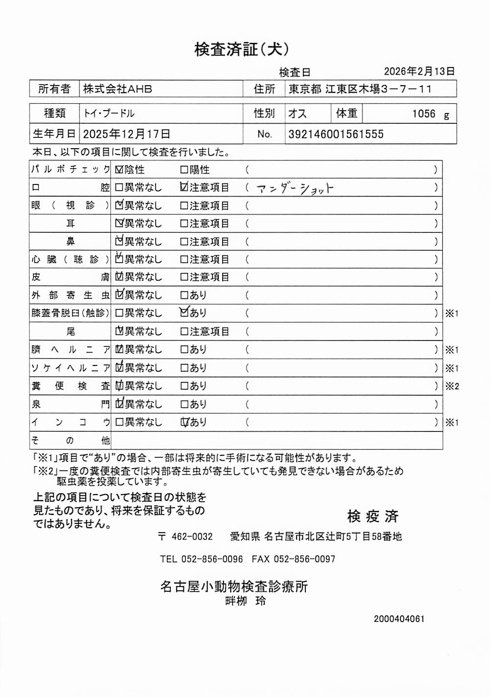 トイ・プードル