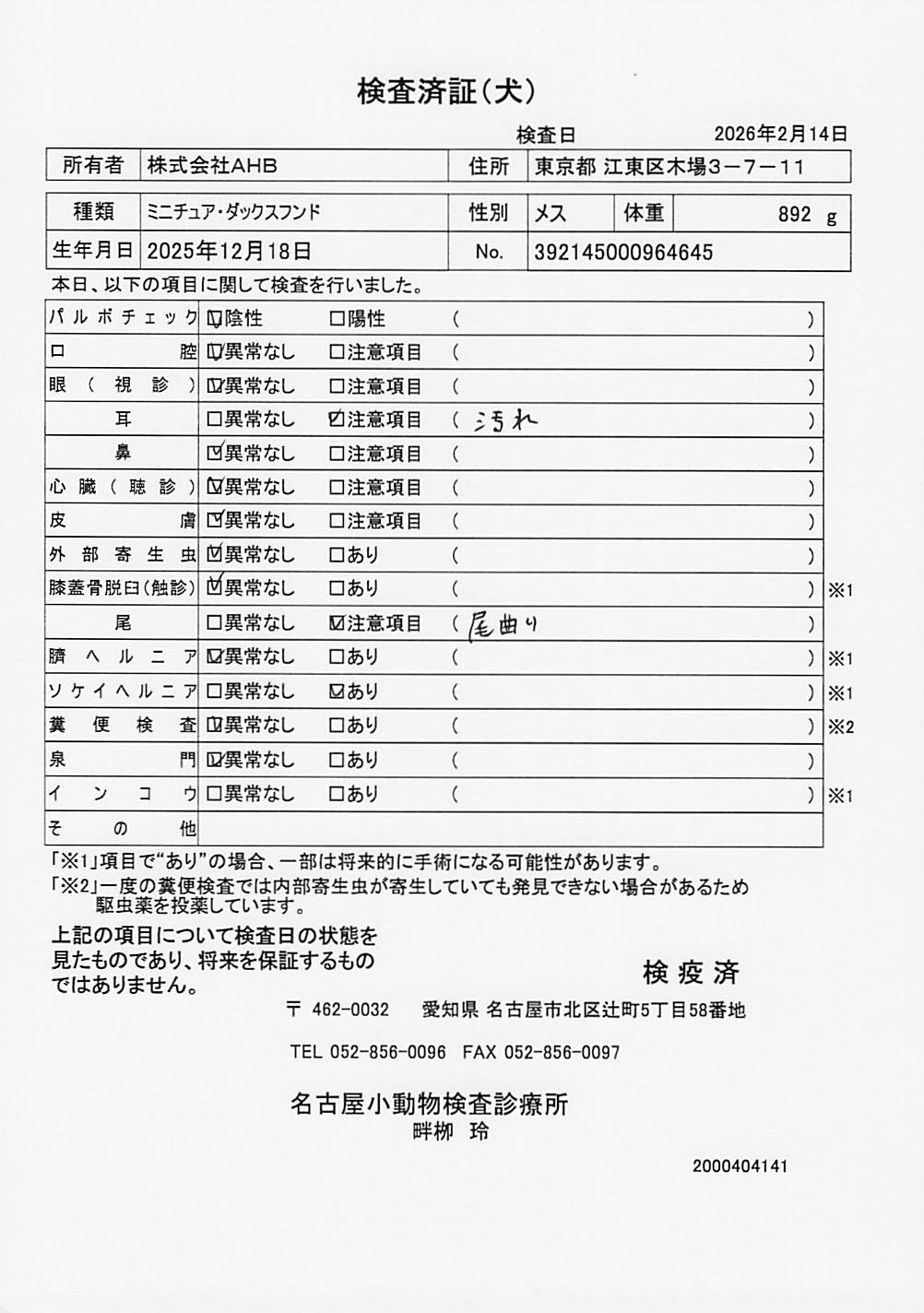 ミニチュア・ダックスフンド