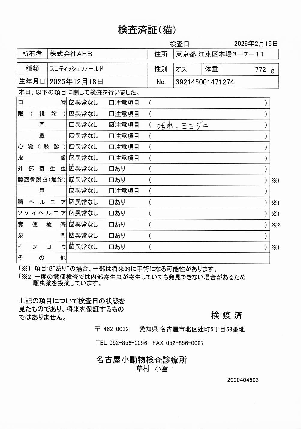 スコティッシュフォールド