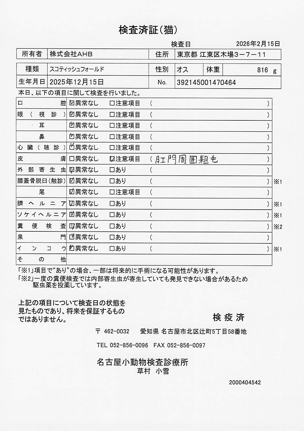 スコティッシュフォールド