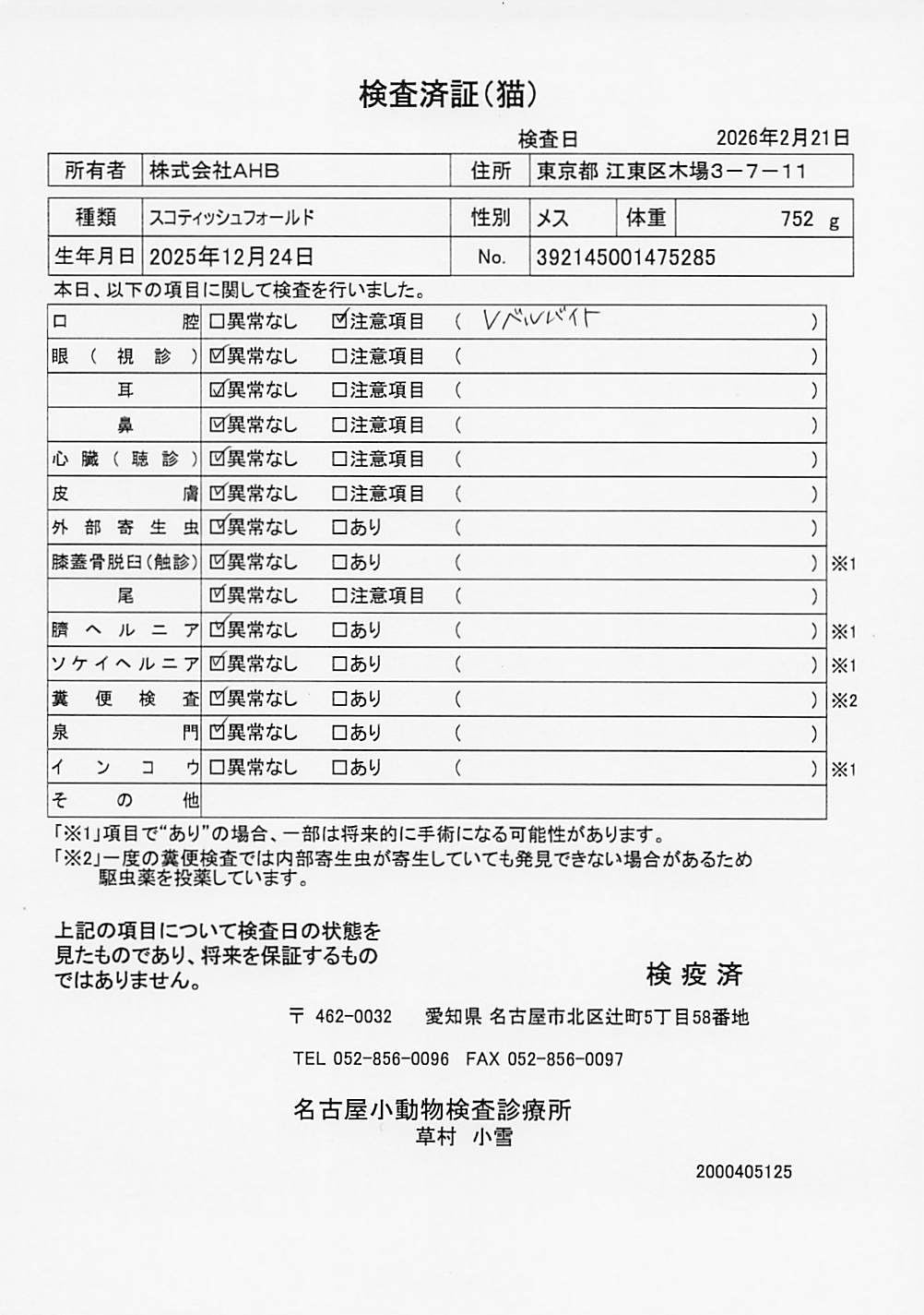 スコティッシュフォールド