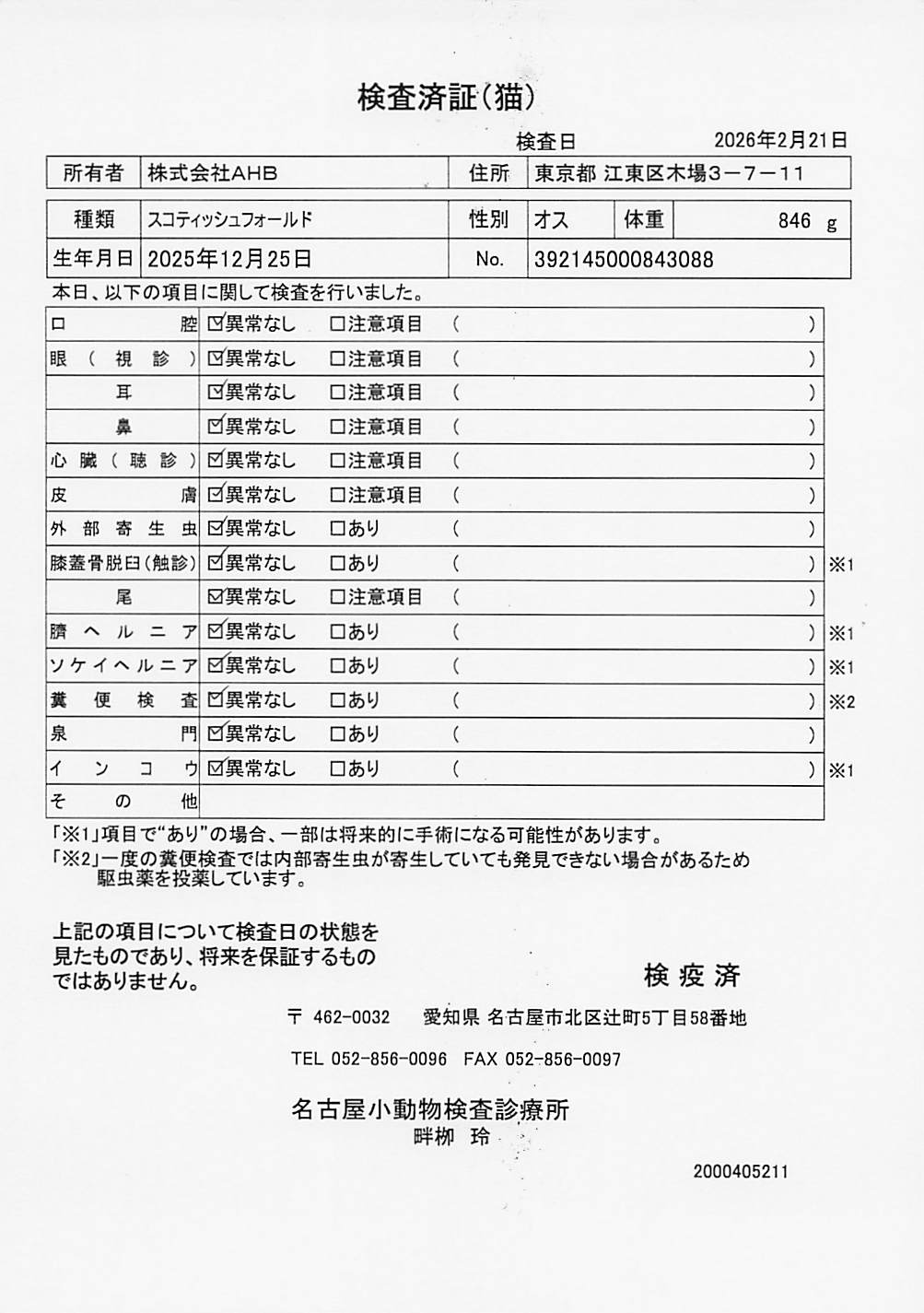 スコティッシュフォールド