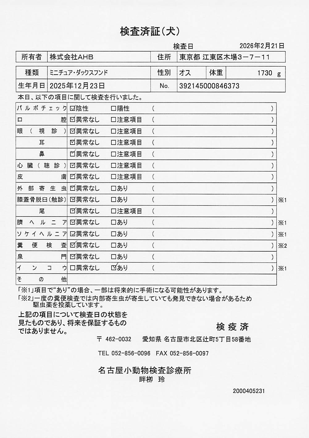 ミニチュア・ダックスフンド
