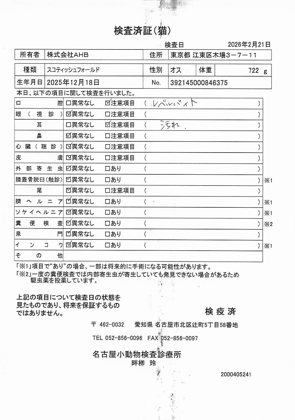 スコティッシュフォールド