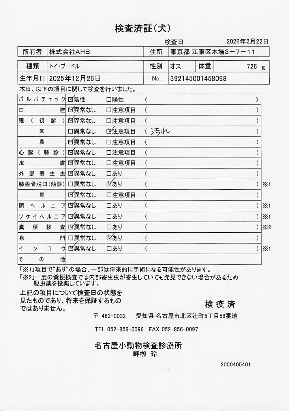 トイ・プードル