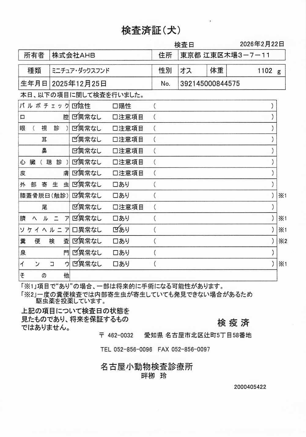 ミニチュア・ダックスフンド