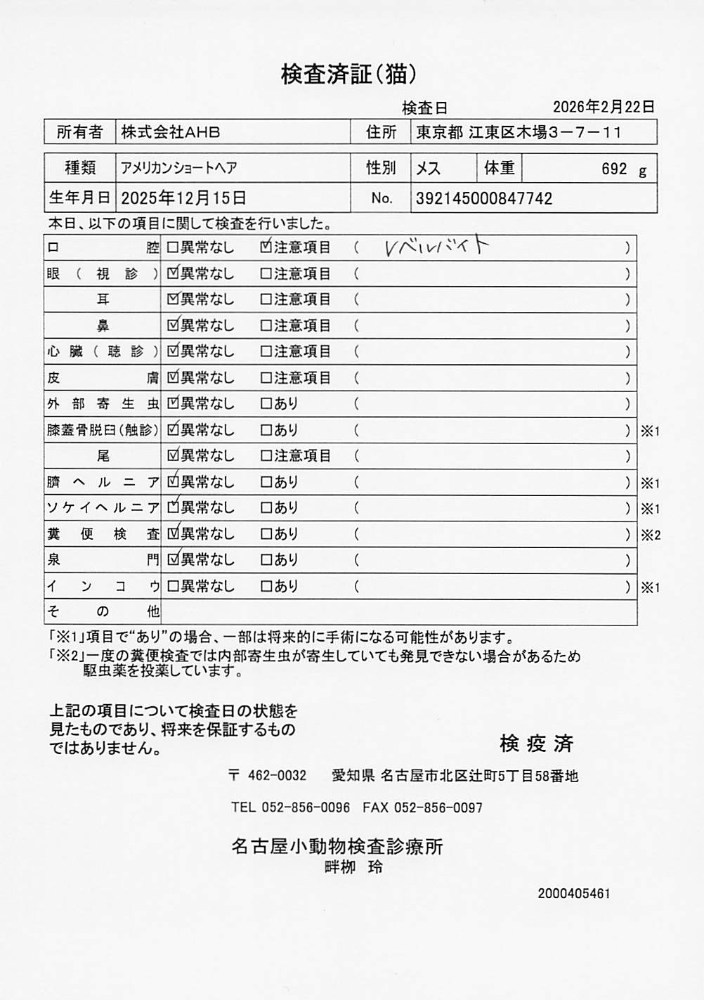 アメリカンショートヘア