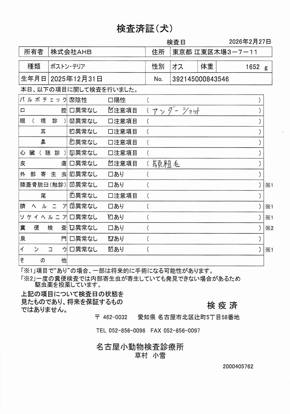 ボストン・テリア