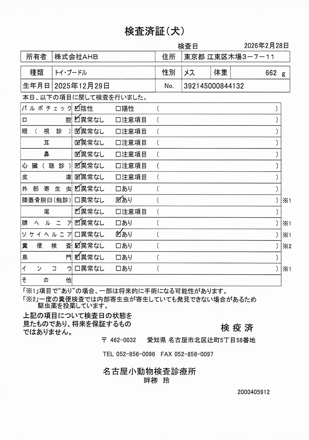 トイ・プードル