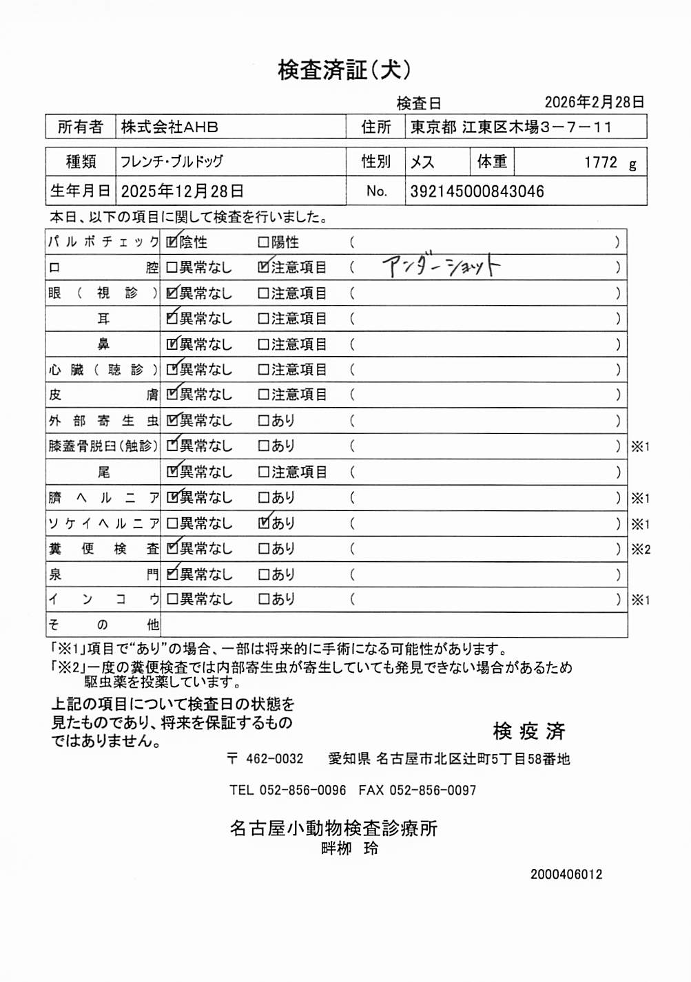 フレンチ・ブルドッグ