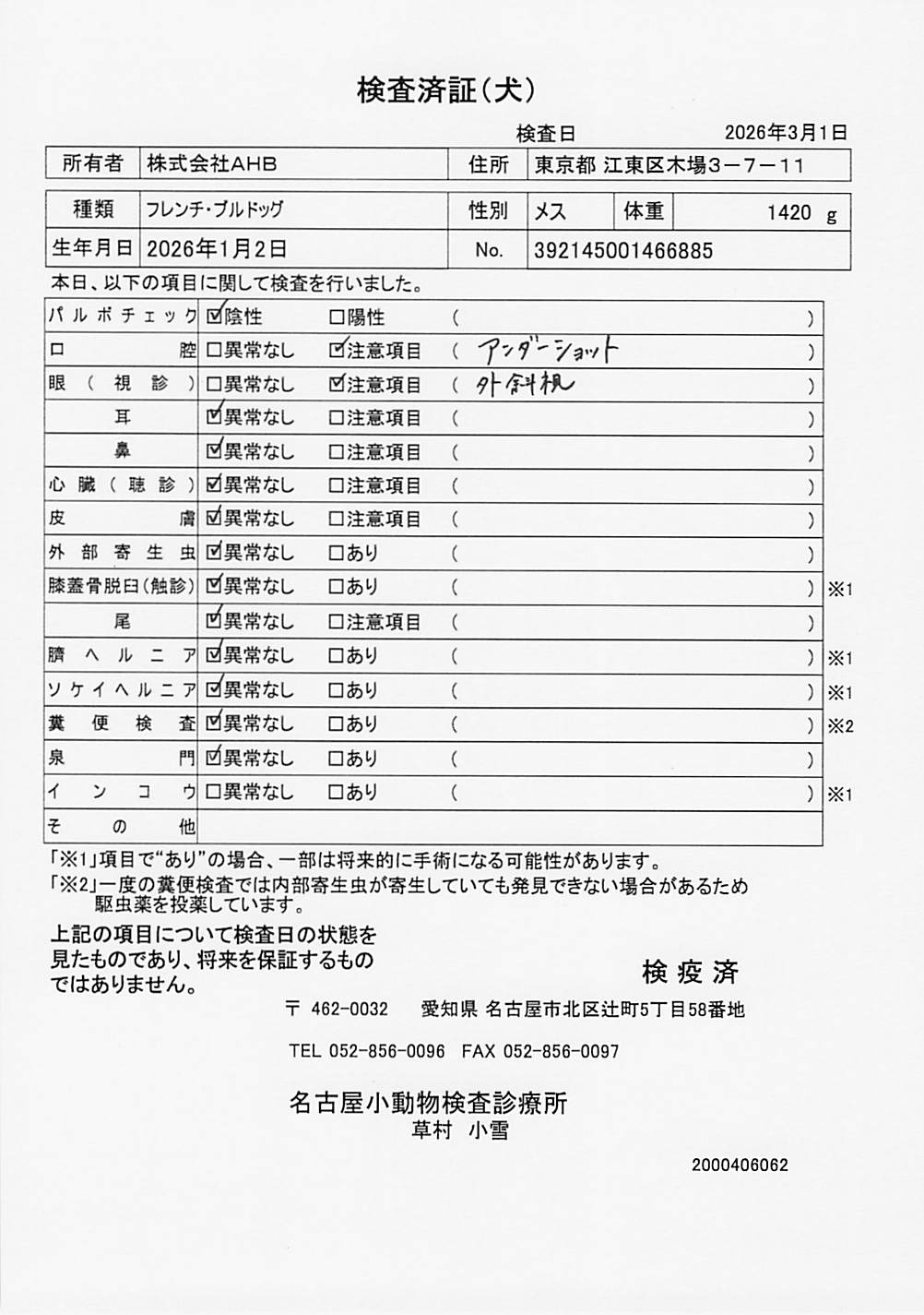 フレンチ・ブルドッグ