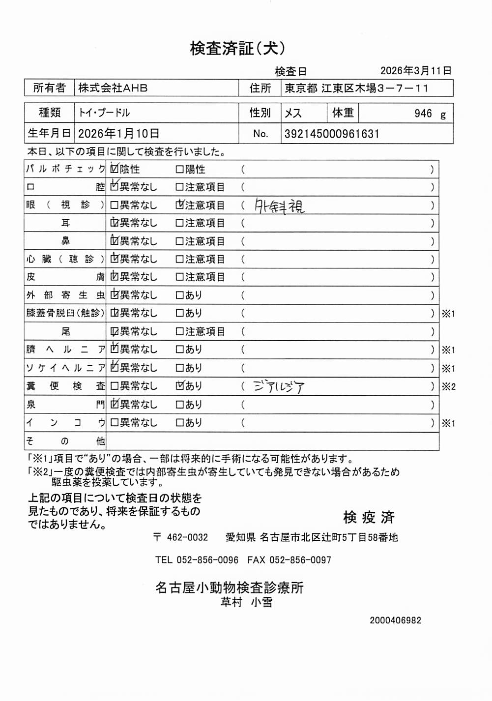 トイ・プードル