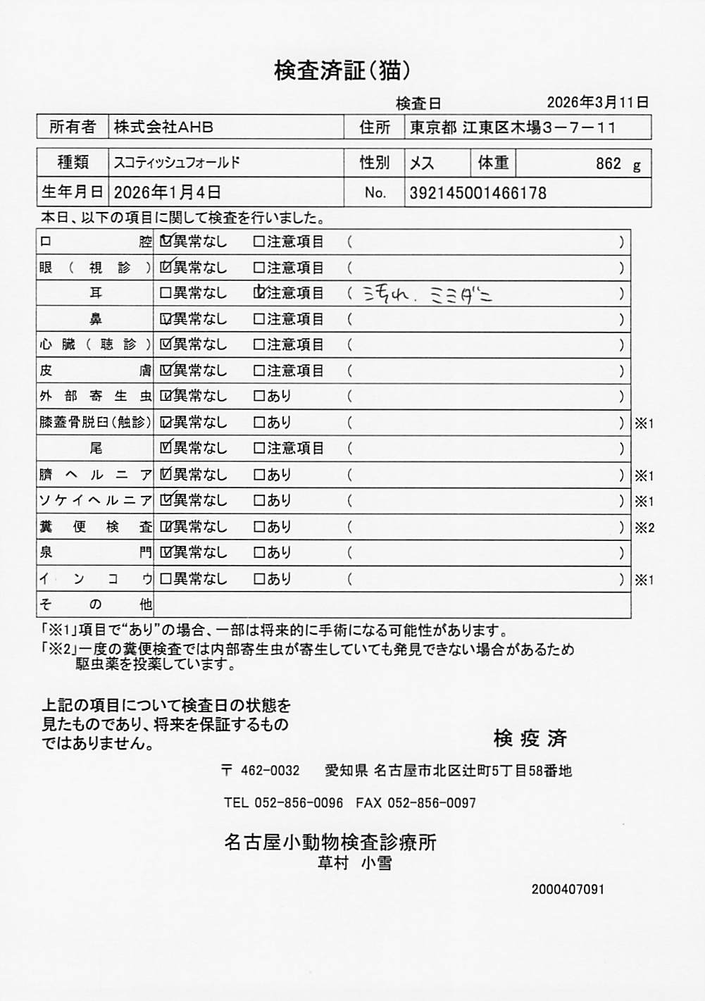 スコティッシュフォールド