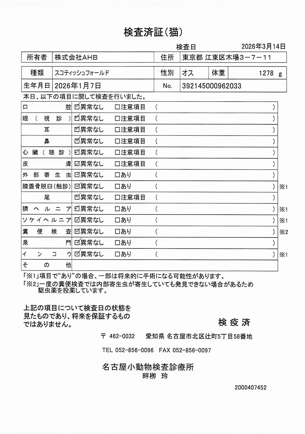 スコティッシュフォールド