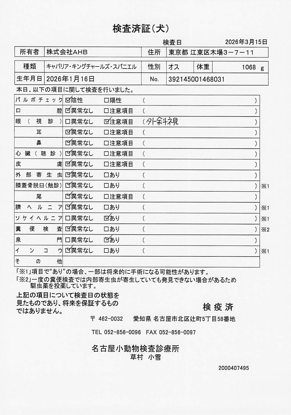 キャバリア・キングチャールズ・スパニエル