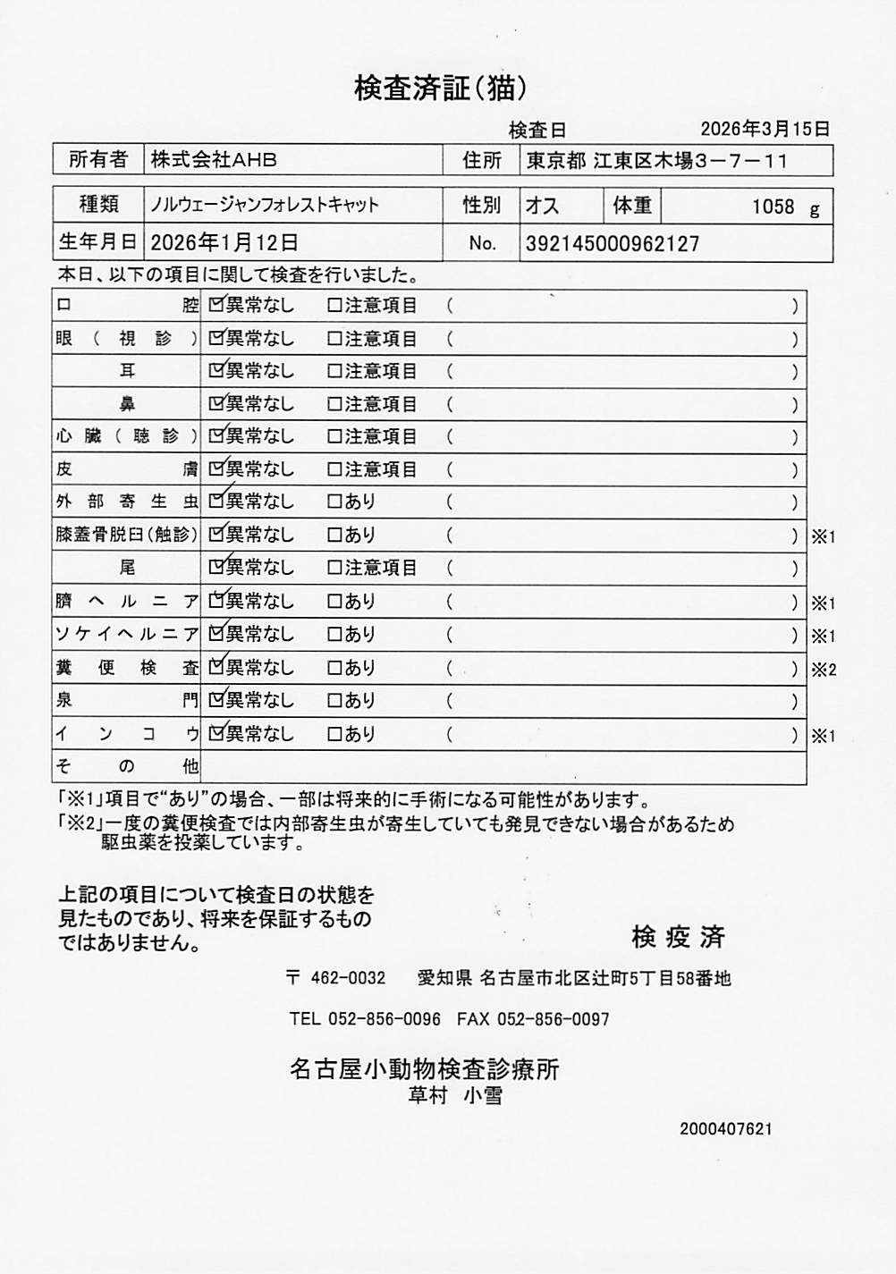 ノルウェージャンフォレストキャット