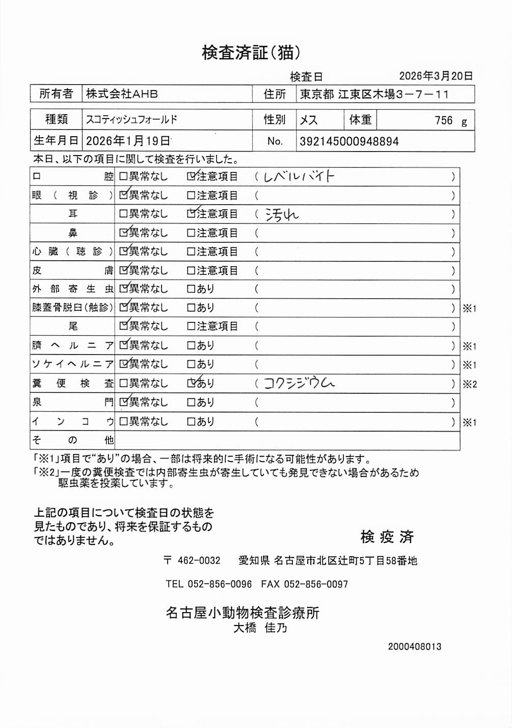 スコティッシュフォールド