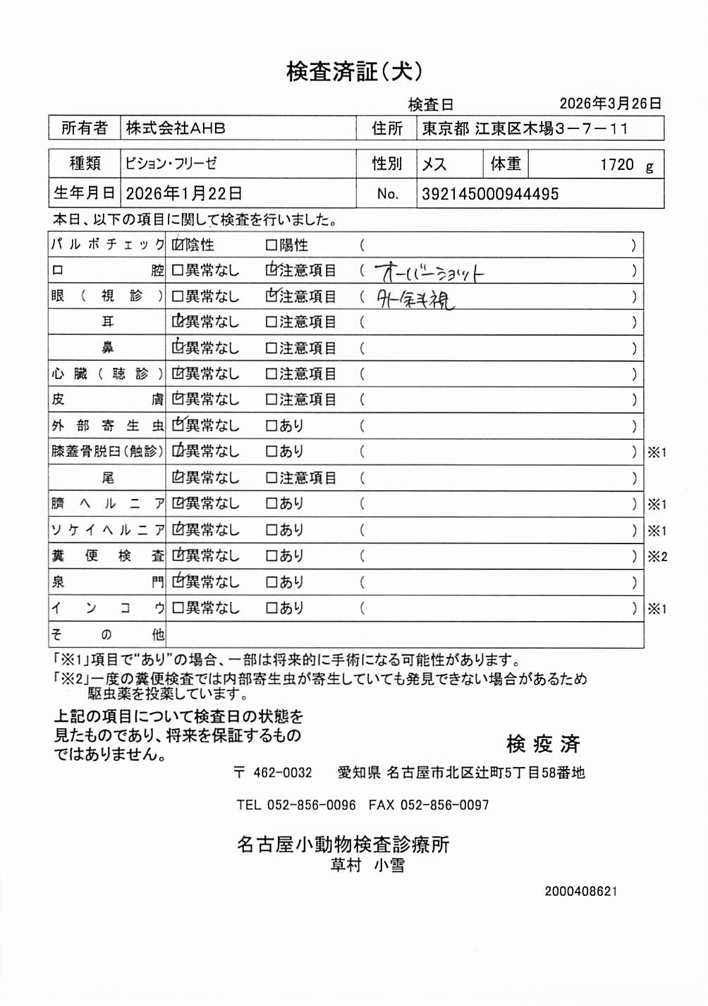 ビション・フリーゼ