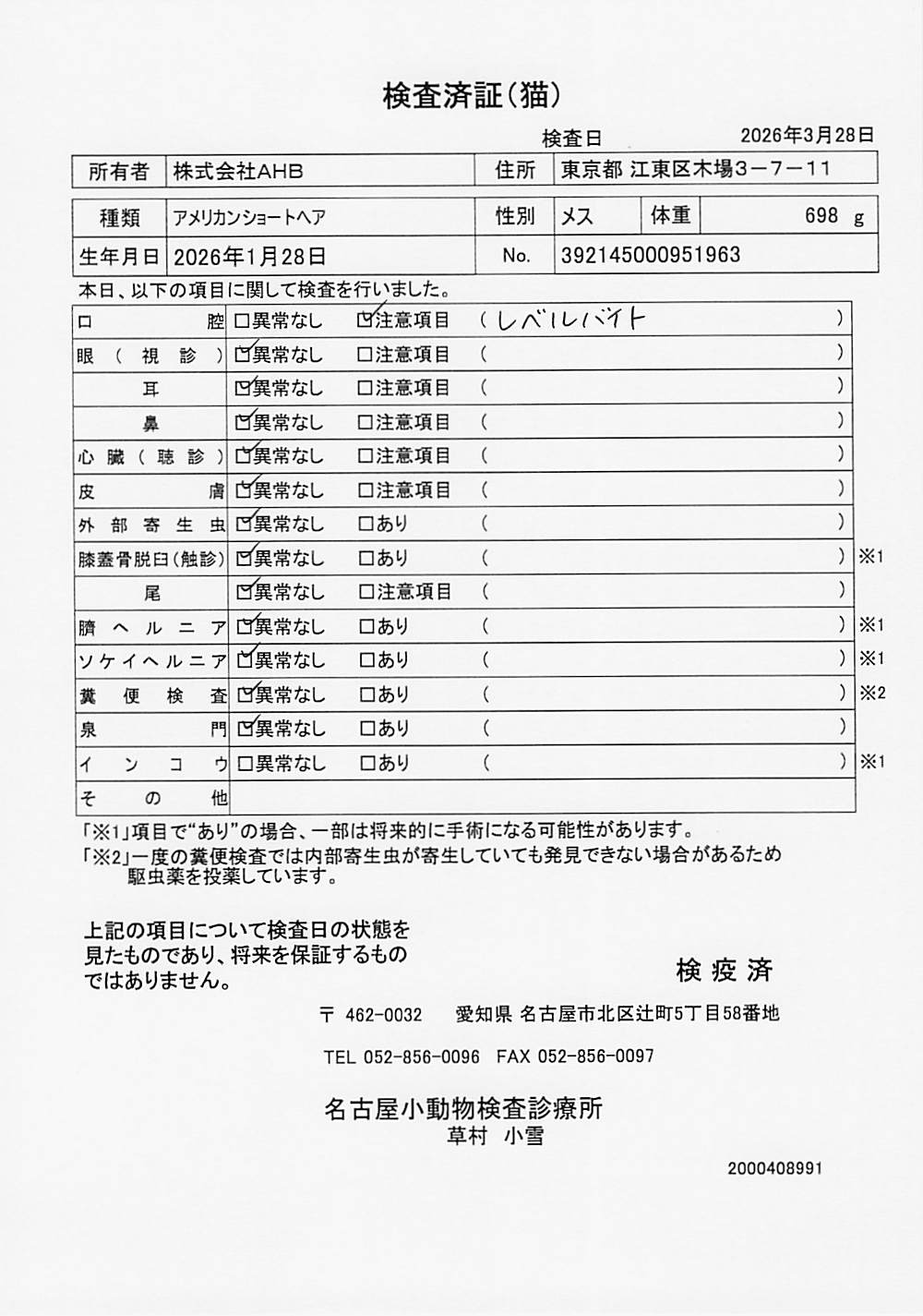 アメリカンショートヘア