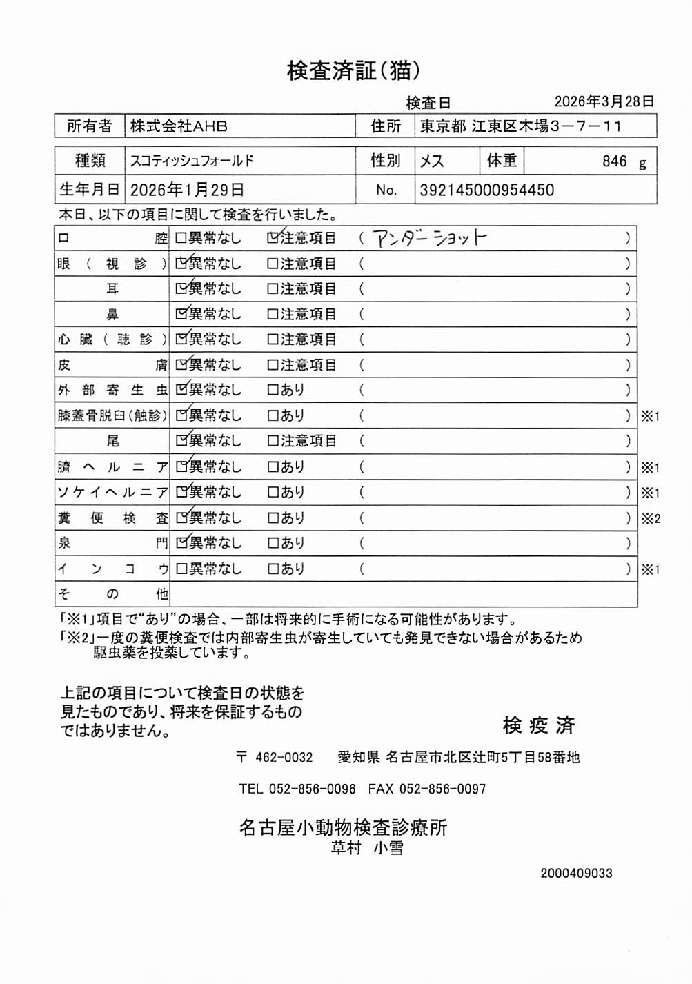 スコティッシュフォールド