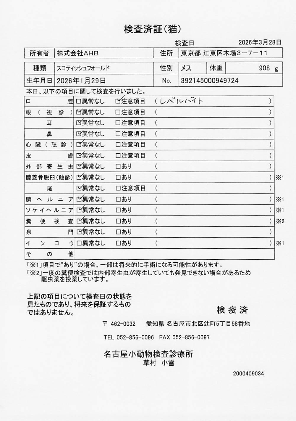 スコティッシュフォールド