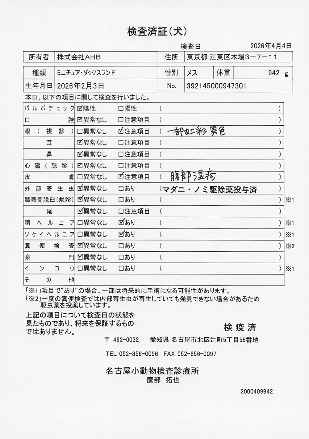 ミニチュア・ダックスフンド