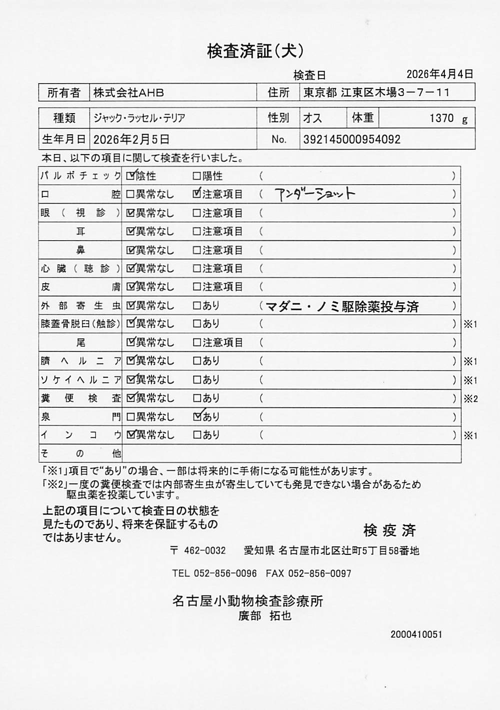 ジャック・ラッセル・テリア