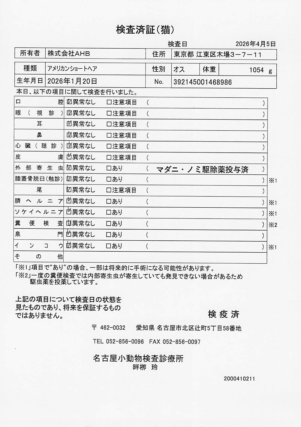 アメリカンショートヘア