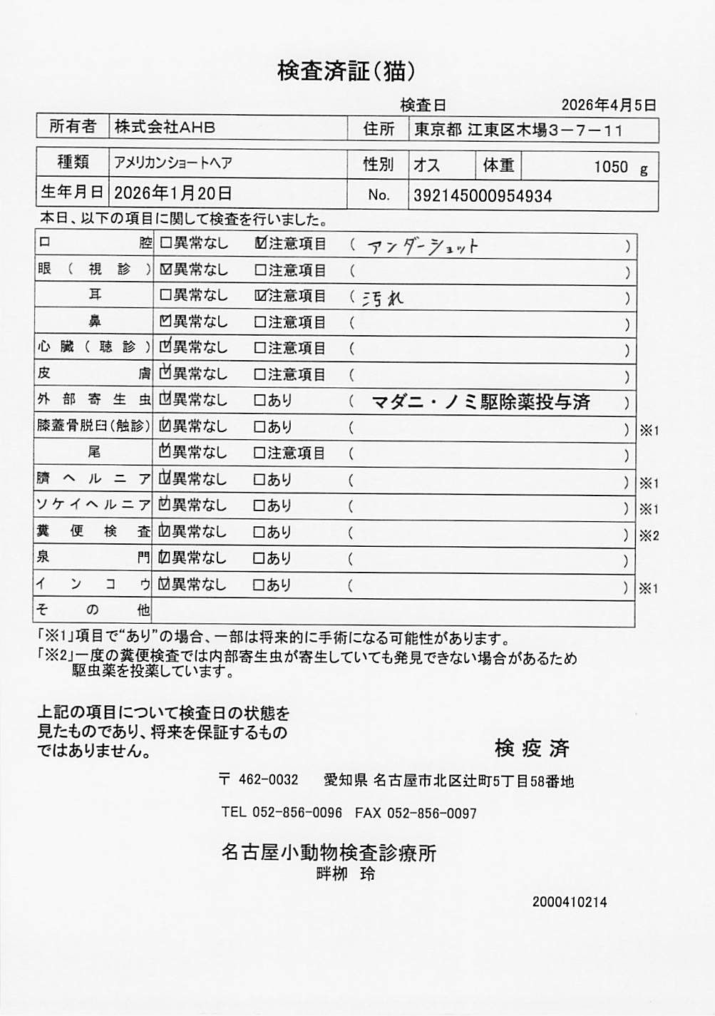 アメリカンショートヘア
