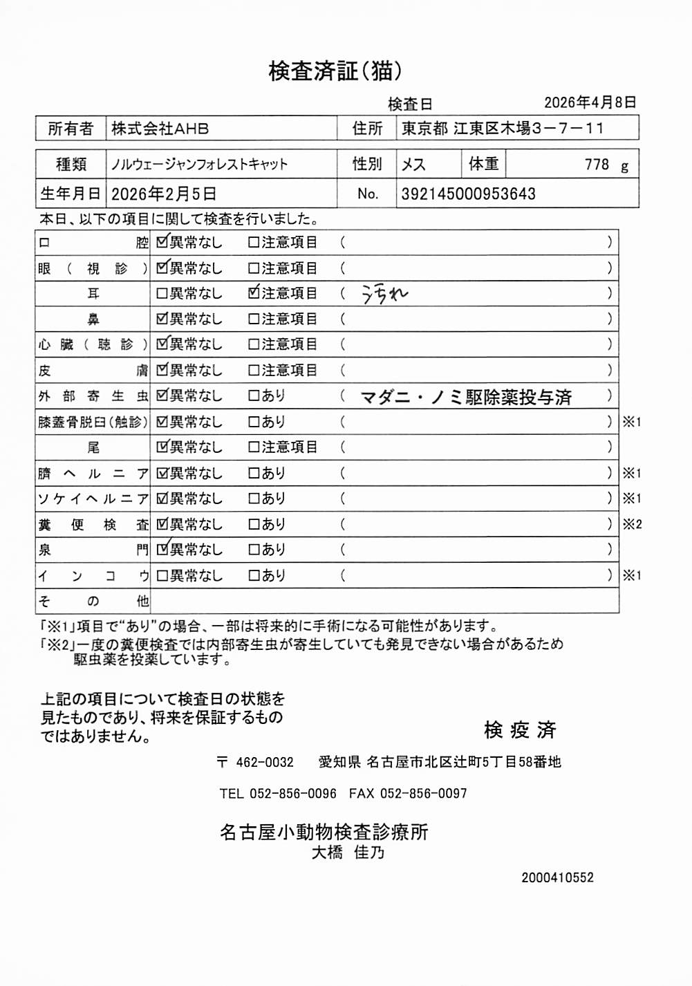 ノルウェージャンフォレストキャット